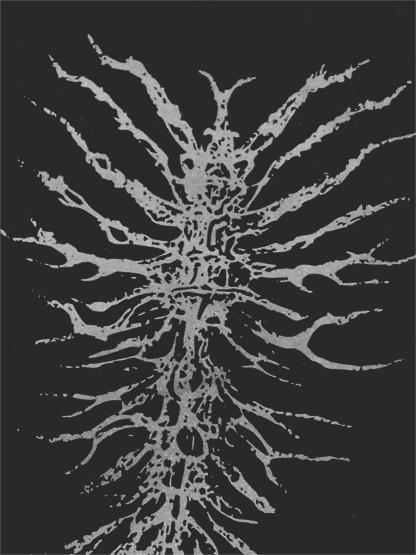 Dark Ghoul Printed Short-sleeved Cotton T-shirt